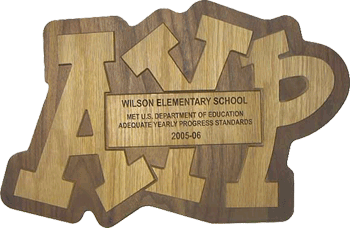 Single-Year AYP Plaque