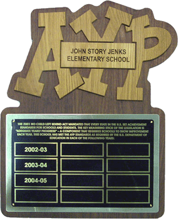 12-Year AYP Plaque