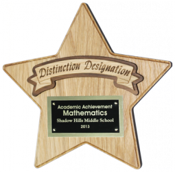 Distinction Designation Star Plaque