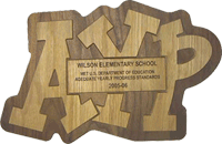 Single-Year AYP Plaque