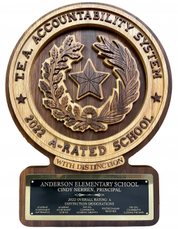 Texas Accountability Plaque